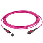 MPO Cable